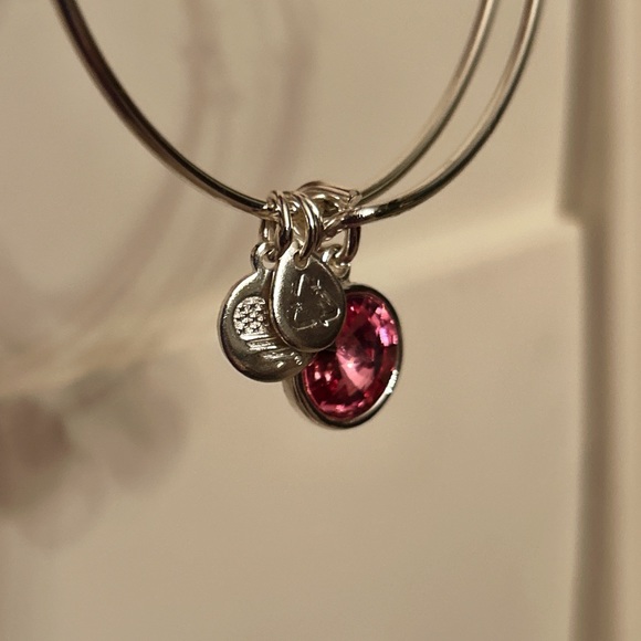 Alex & Ani Bangle Bar Pink Tourmaline October Birthstone Bangle Bracelet - Picture 6 of 14